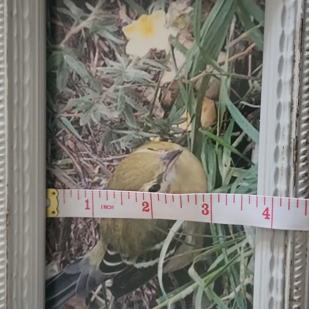 Broyhill Picture frame - Picture 7 of 7